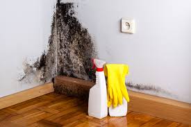 Best Mold Remediation for Healthcare Facilities in Centreville, MD